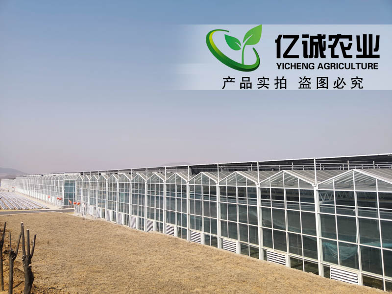 連棟玻璃溫室大棚項目現(xiàn)場